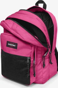Eastpak Rugzakken Rugzak Pinnacle Dames Zwart -Eastpak 0f895f836a4a229e6ba19b6285185d90 scaled